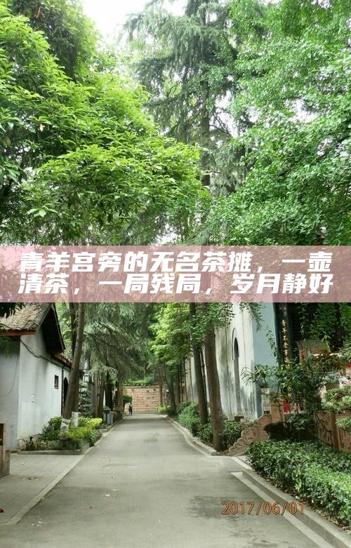 青羊宫旁的无名茶摊，一壶清茶，一局残局，岁月静好