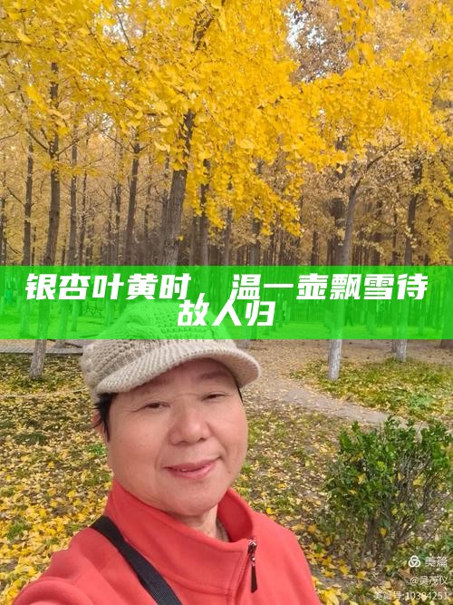 银杏叶黄时，温一壶飘雪待故人归