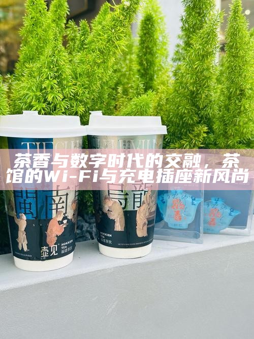 茶香与数字时代的交融，茶馆的Wi-Fi与充电插座新风尚