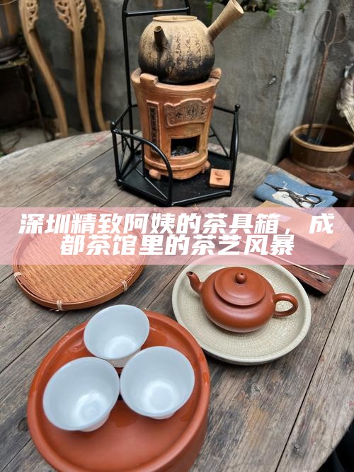深圳精致阿姨的茶具箱，成都茶馆里的茶艺风暴