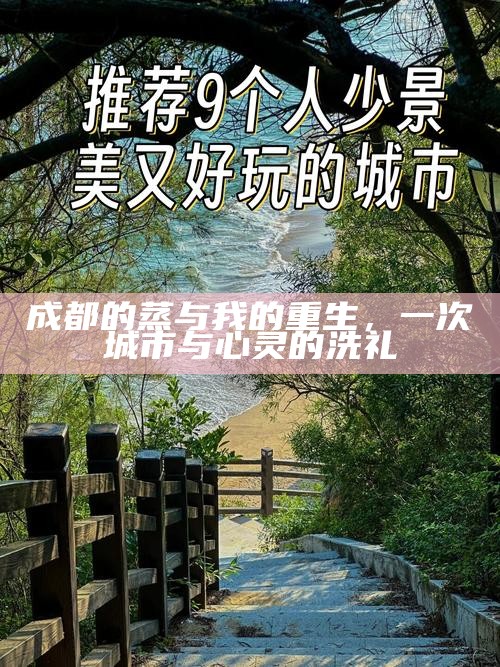 成都的蒸与我的重生，一次城市与心灵的洗礼