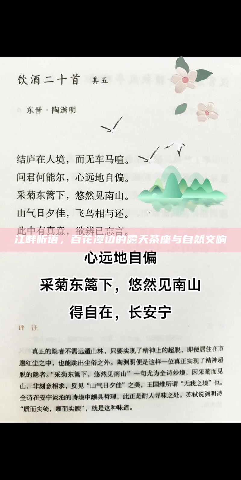 江畔听语，百花潭边的露天茶座与自然交响