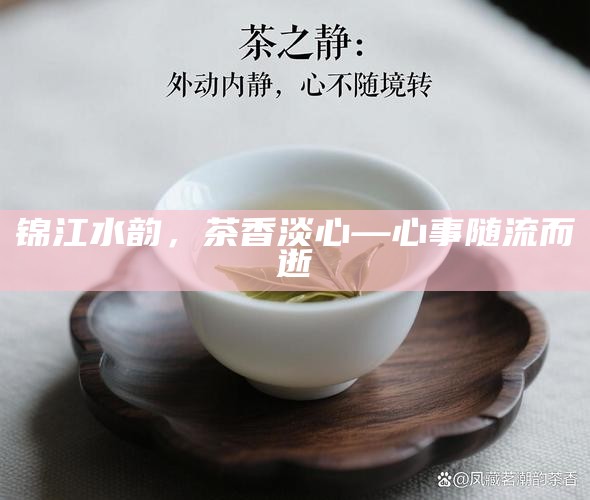 锦江水韵，茶香淡心—心事随流而逝